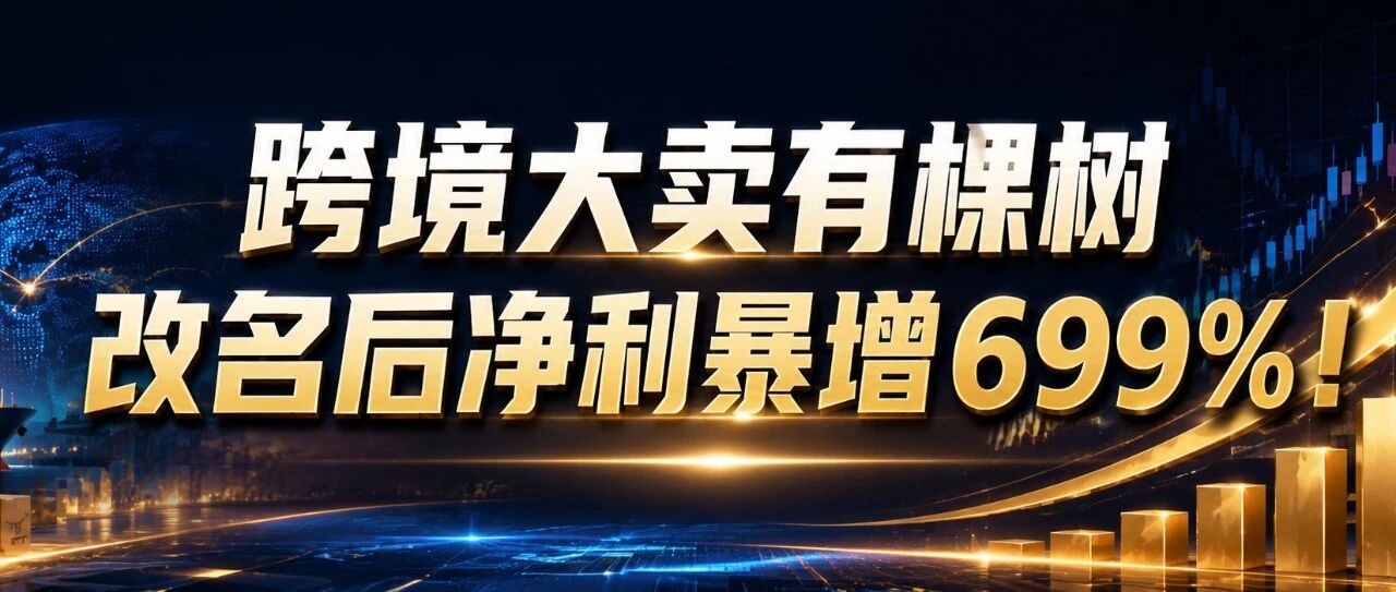 跨境大卖有棵树改名后净利暴增699%！
