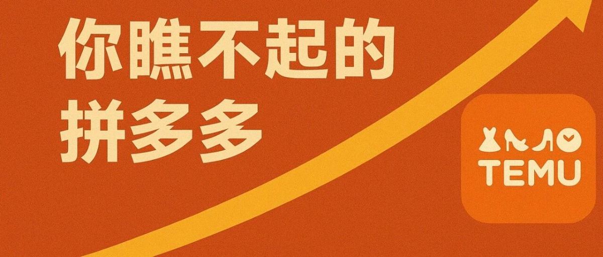 UPS起诉TEMU，追讨3700万欧元！