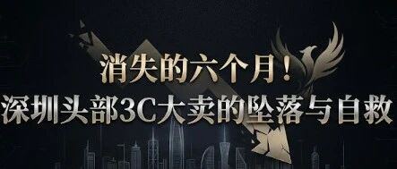 消失的六个月！深圳头部3C大卖的坠落与自救