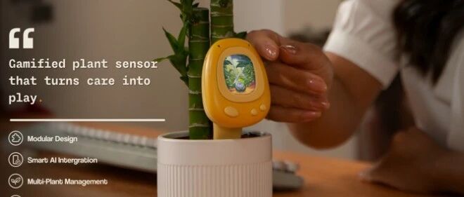 硬件出海|海外众筹新品速递-将植物宠物化的智能植物传感器小试牛刀拿下5万多美金！